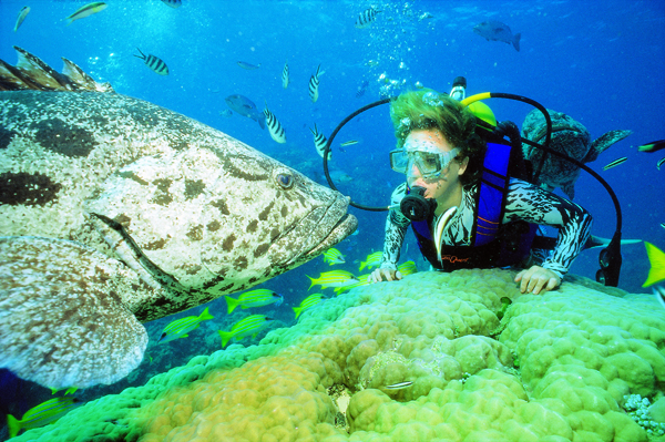 012805 - Dive, Great Barrier Reef.jpg