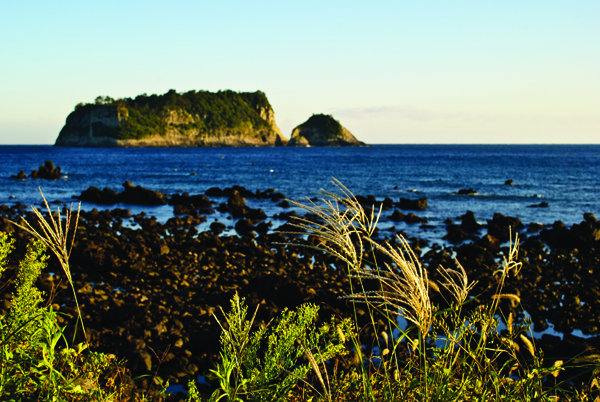 jeju-island.jpg