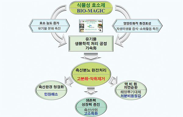 BRAND KOREA2.jpg