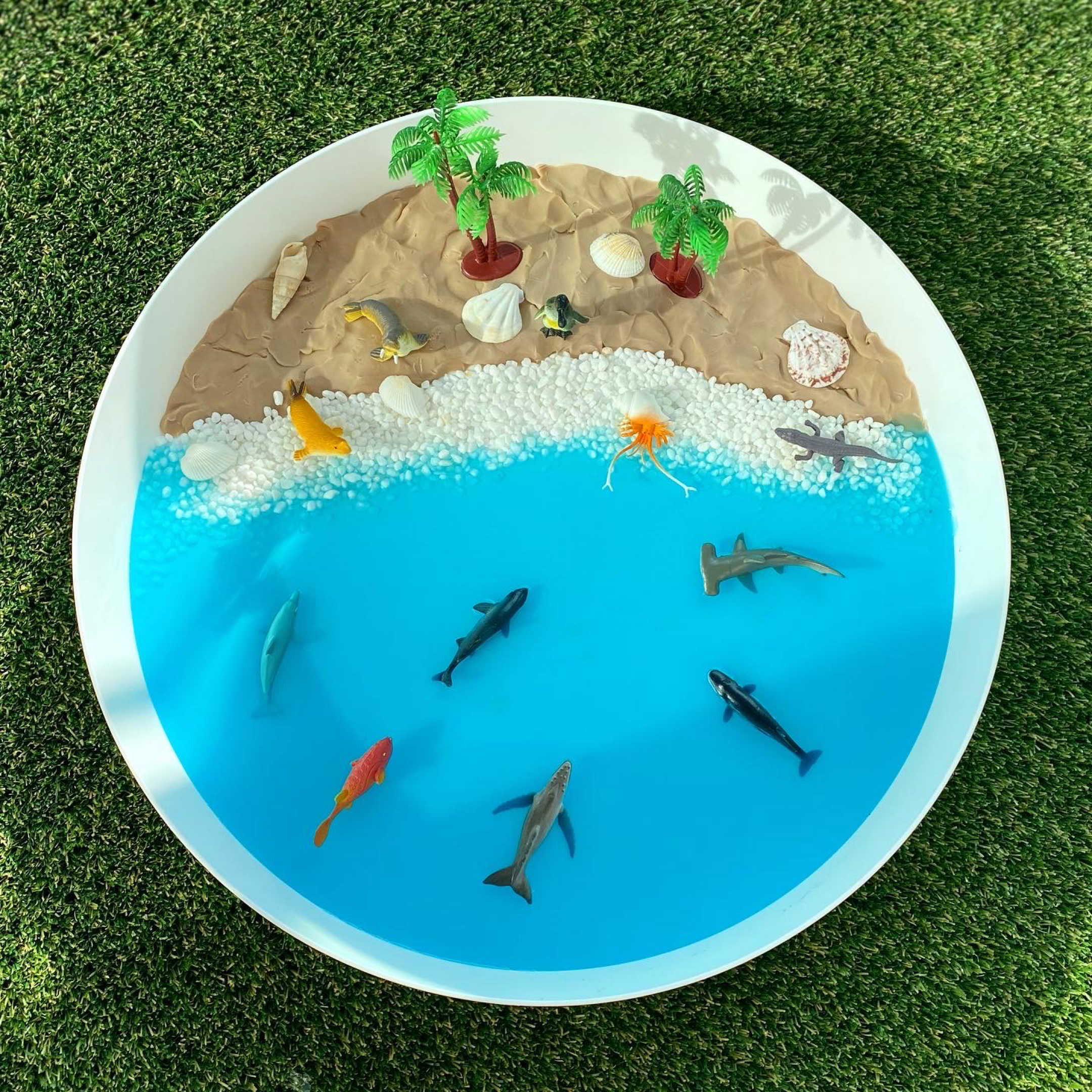 FCDE6293-9027-4E80-8439-2F2C80E47365 3.png